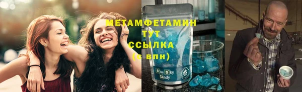 прущие грибы Армянск