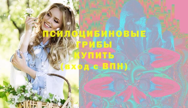 apvp Пестово