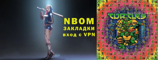 шишки Пересвет