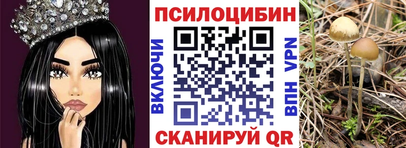 наркота  Шлиссельбург  Галлюциногенные грибы мицелий 