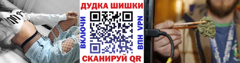 Каннабис OG Kush  Шлиссельбург 